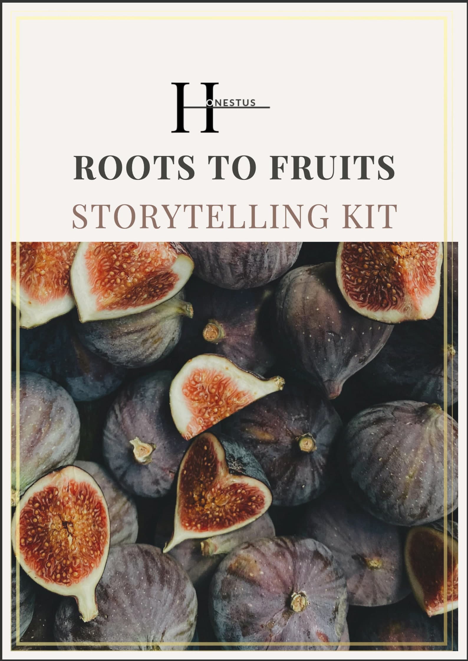 Roots to Fruits Storytelling Kit - Main View